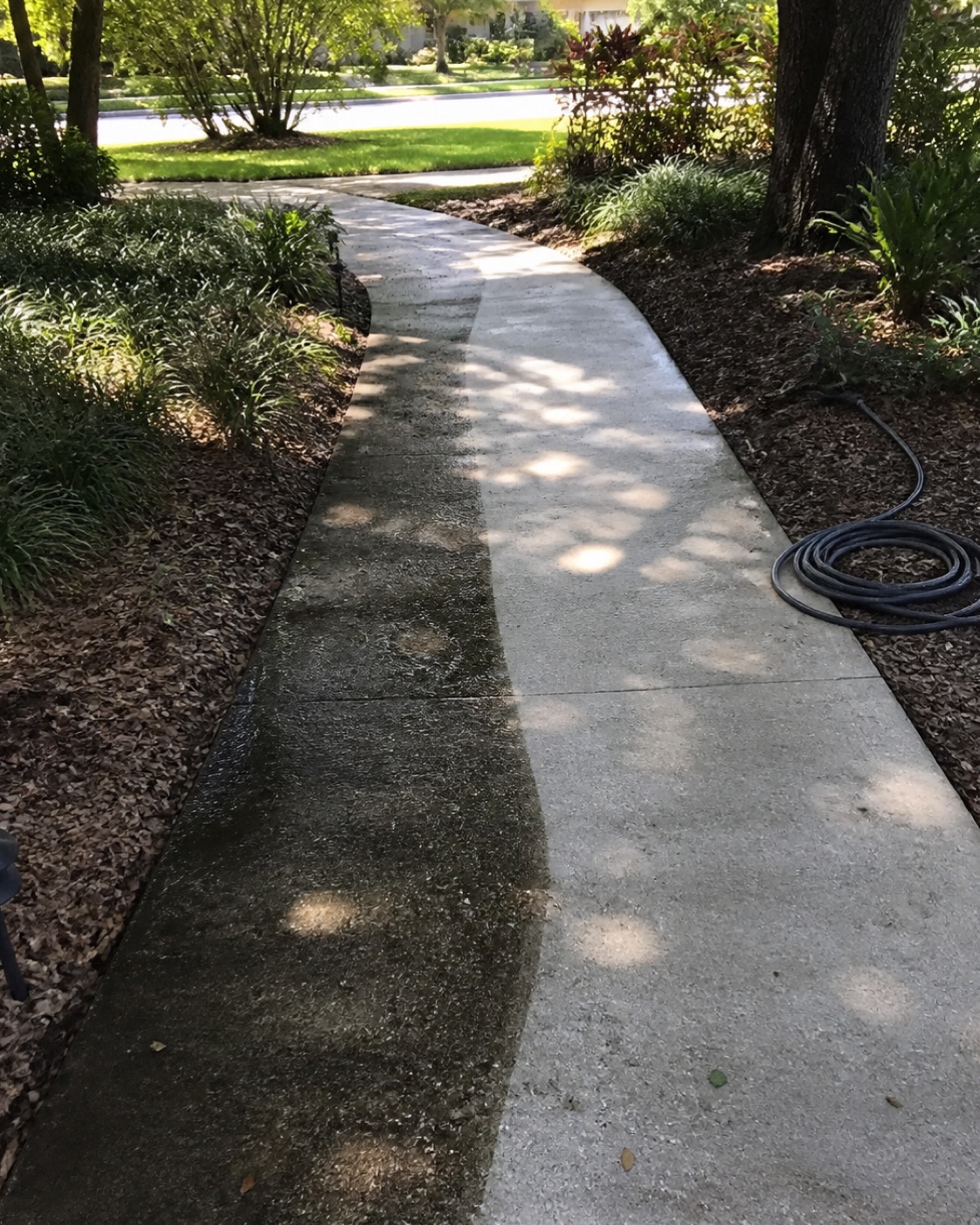 Driveway Pressure Washing problem area before exterior cleaning in Central Florida