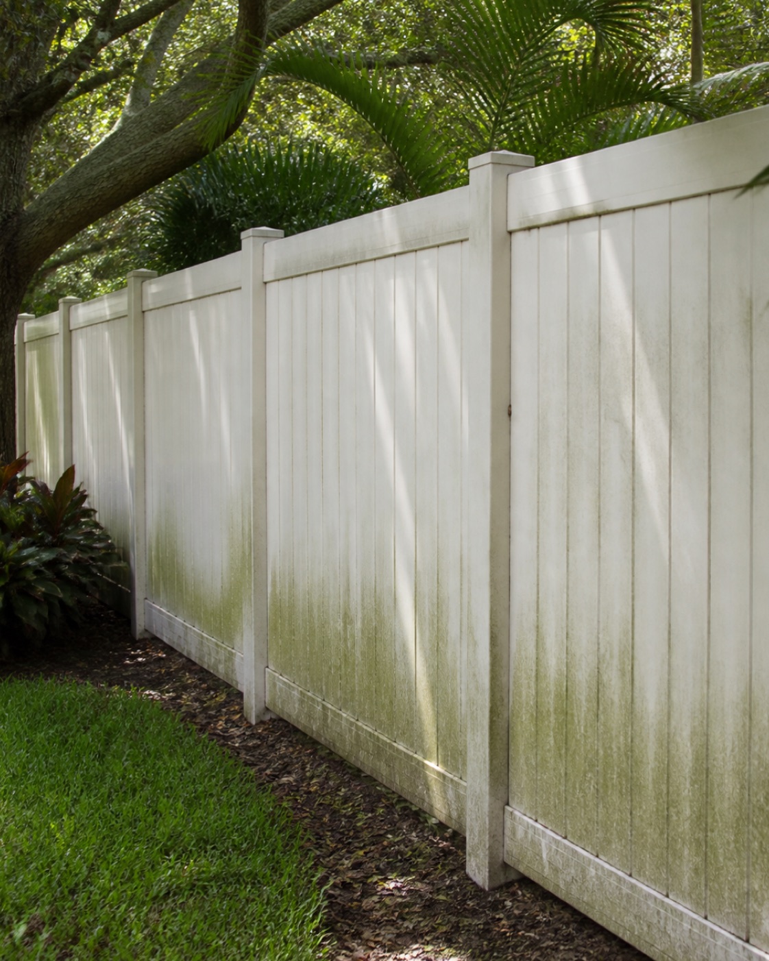 Fence Cleaning problem area before exterior cleaning in Central Florida