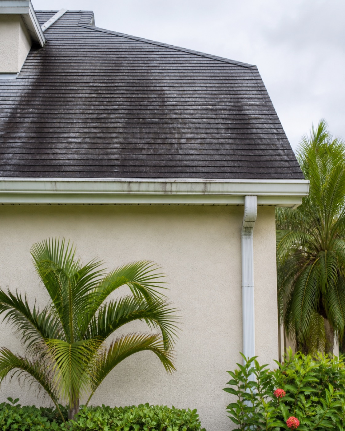 Roof Cleaning problem area before exterior cleaning in Central Florida
